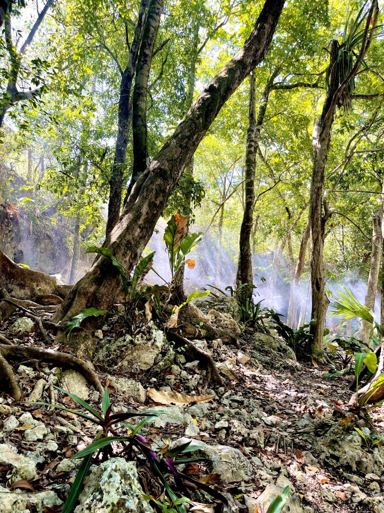 Mexican jungle smoke from burning incense in the background