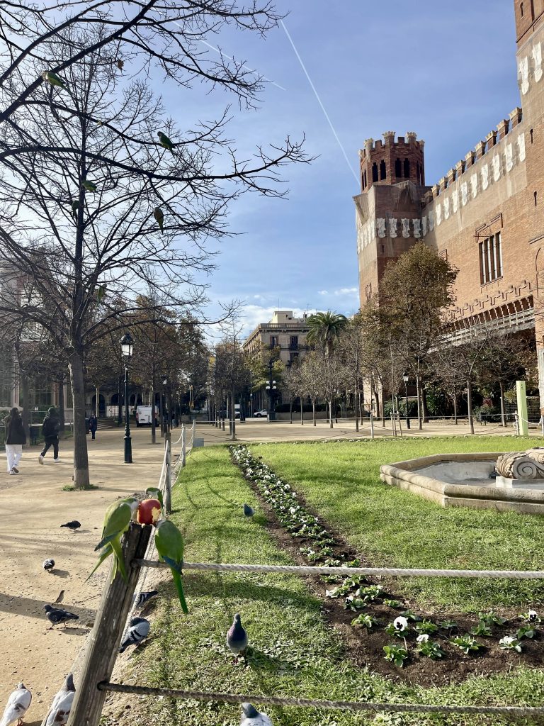 Three green parrots biting a red apple on a wooden post